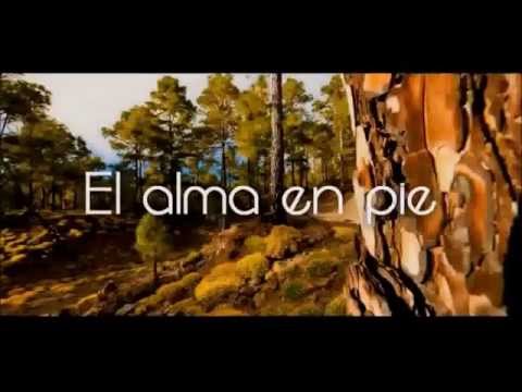 Eurovision Song Contest: My Top 26 - ESC 2015 - Youtube-Votes