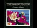 Whiskeytown Turn Around 