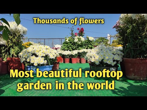 image-What is the famous garden?