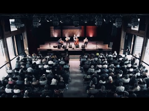 Avanti Avanti (live) - Schneeberger & Bakanic Quartett