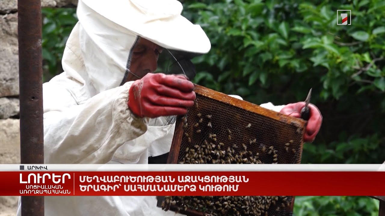 Մեղվաբույծների աջակցության ծրագիր՝ սահմանամերձ Կութում