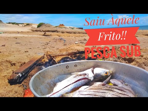 Fried Fish on the Beach!! Spear Fishing with My Dad.
