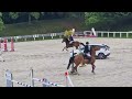 Superbe Jument Top qualité