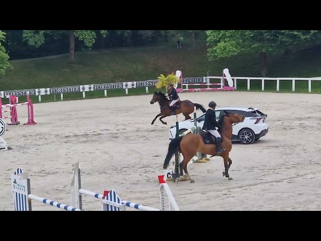 Superbe Jument Top qualit&eacute; 