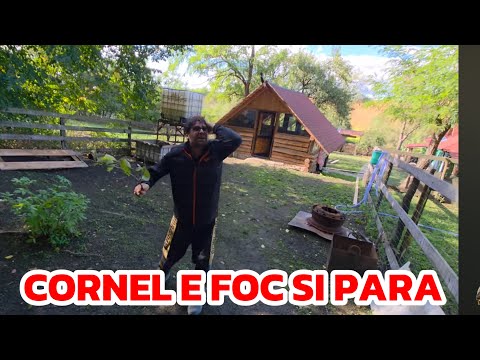 Cătălin told us we stole the rib. Cornel is a fire and a pear!