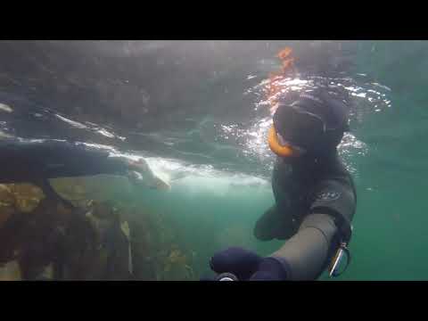 Ørjan Djønne og junior på tur i Rongesundet i Øygarden