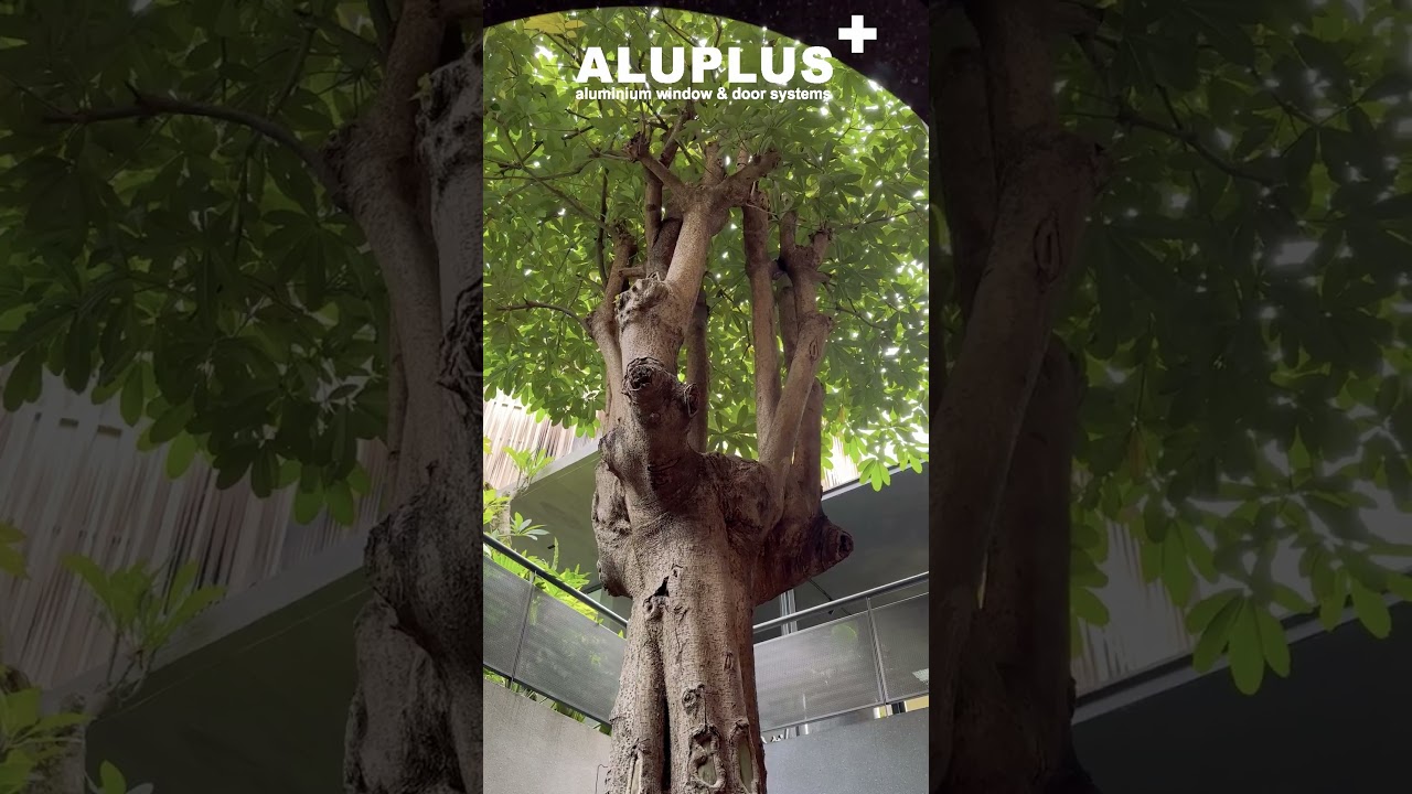 BW House (Project Reference) #allureindustries #architecture  #interiordesign #architect #aluminium