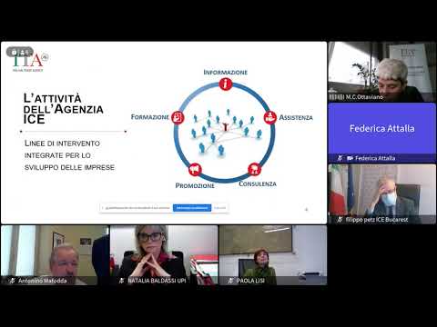 , title : 'Webinar Austria, Polonia e Romania'