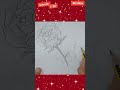 Lovely Rose Sketch Made Step by Step/#Shorts_feed,#Shorts_beta, #Shorts_...