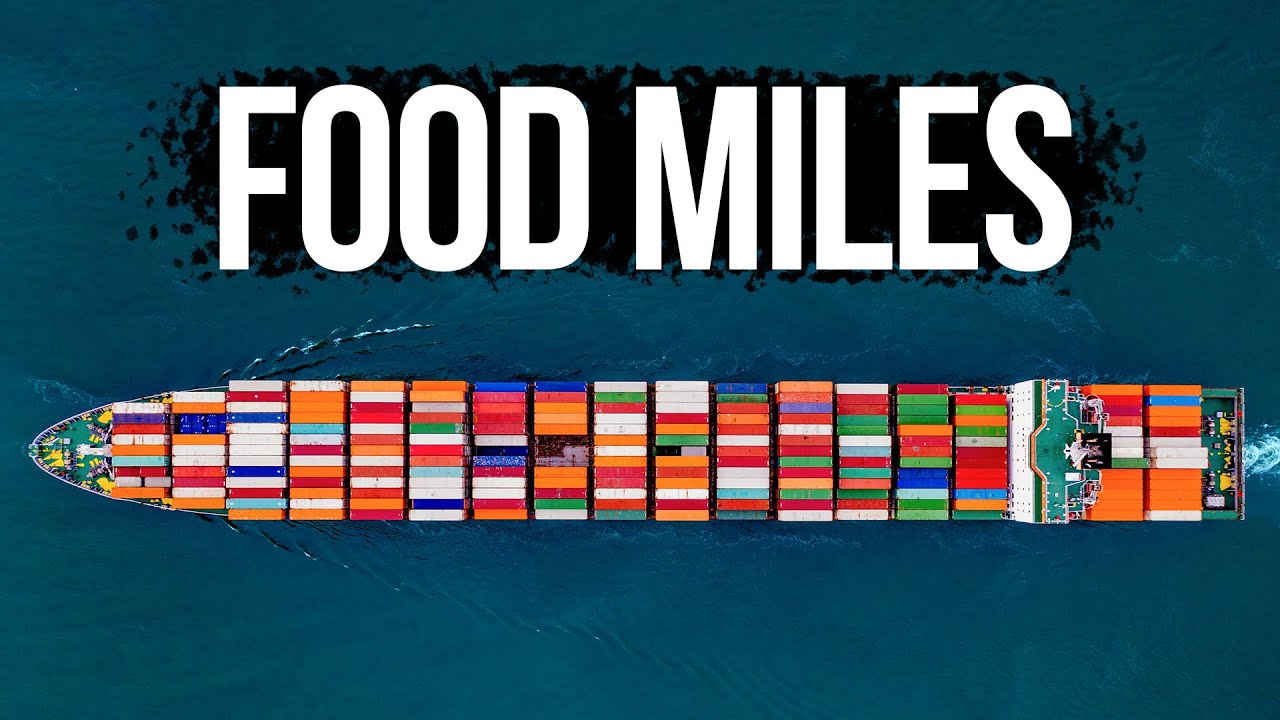 Dirty Food Chain: Why You Should Know Where Your Food Comes From
