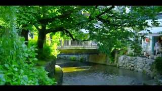 [ゲーム実況者のプチ旅] 京都 高瀬川 編～