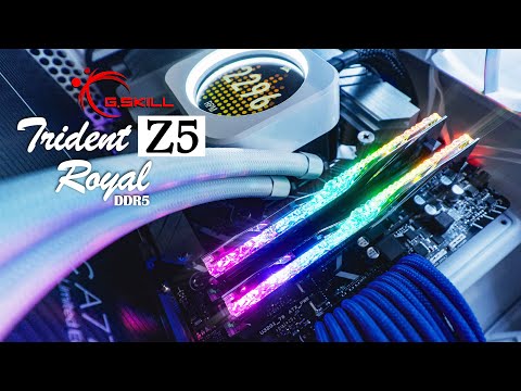 The Ultimate DDR5 Memory Upgrade - G.Skill Trident Z5 Royal Unboxing and Review