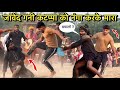 जावेद गनी और कटप्पा की न्यू कुश्ती जाव