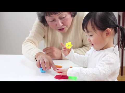 子どもの発達を科学する (ga083)