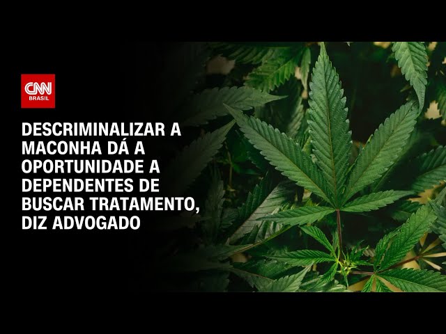 Descriminalizar a maconha dá a oportunidade a dependentes de buscar tratamento, diz advogado | LIVE