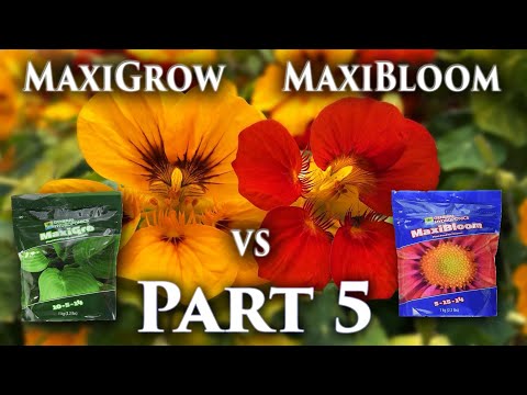 , title : 'MaxiGrow vs MaxiBloom (Flowers) EP5 | MarsHydro FC-E 3000'