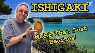 Ishigaki Cruise Port Guide: HIDDEN GEMS for DIY Excursions!