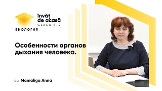 "Особенности органов дыхания человека"