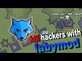 Moomoo.io - 🔥Killing hackers with Labymod 🔥