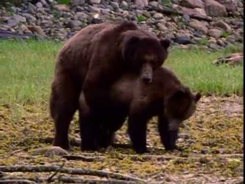 Off Centre S01E17 The Back Up