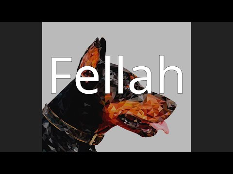 Fellah
