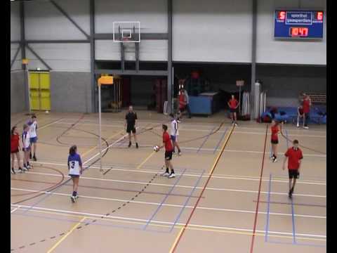 AW.DTV B1 - Meervogels B1