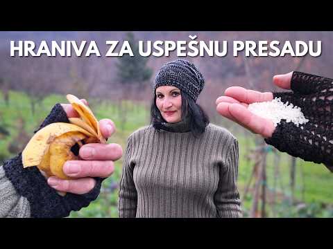 All Essential Recipes for Transplant Nutrition in One Place