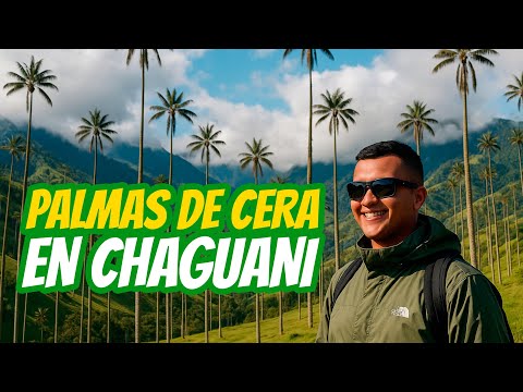 Palmas de Cera en Chaguani ¿Tesoro escondido de Cundinamarca para el Turismo Masivo?