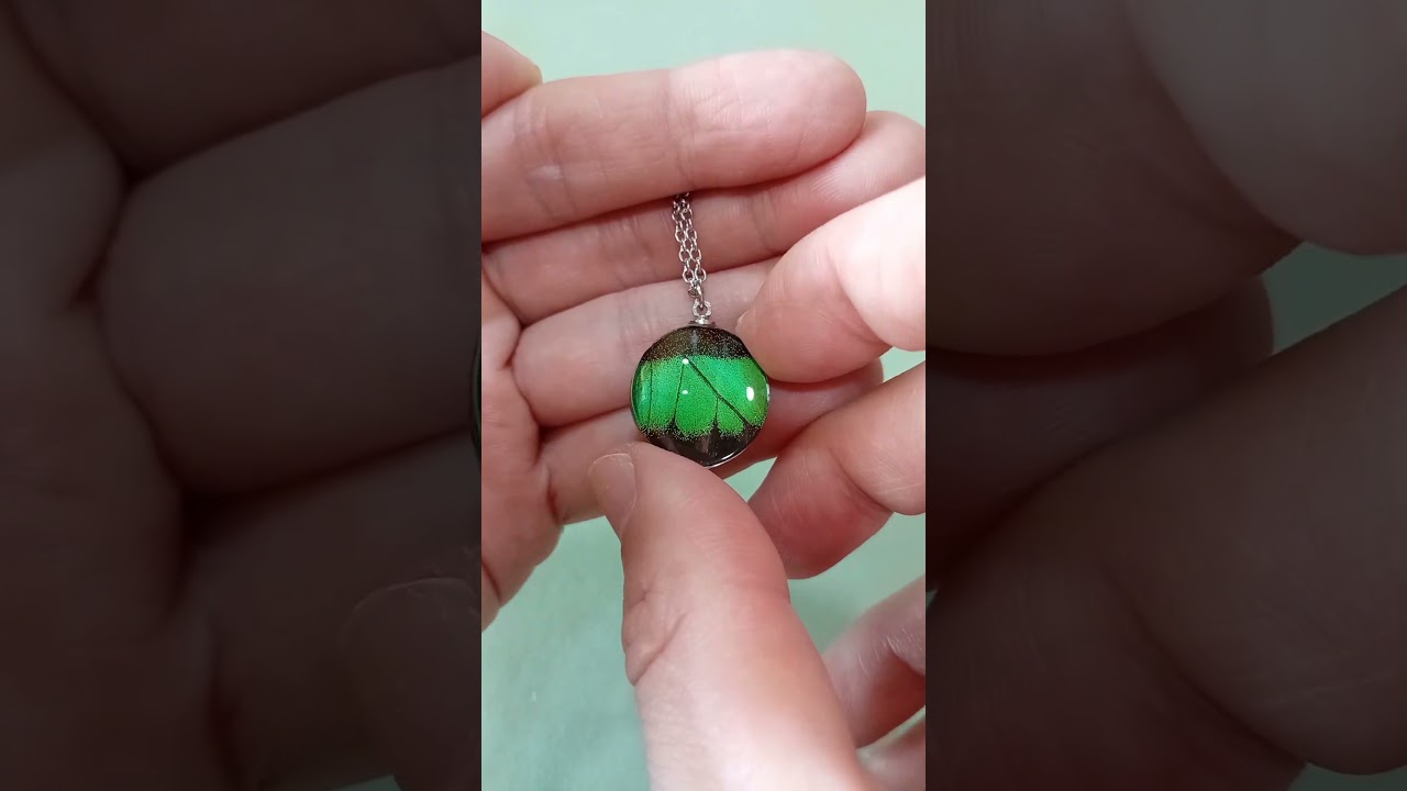 Pendente artigianale da 20mm con ala verde di Papilio blumei sotto lente rotonda in vetro con brillante lucentezza smeraldo