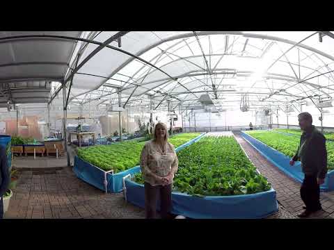 Nelson and Pade VR (3D) Greenhouse Tour