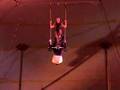 Double Trapeze