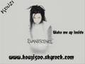 Evanescence - Wake me up inside 