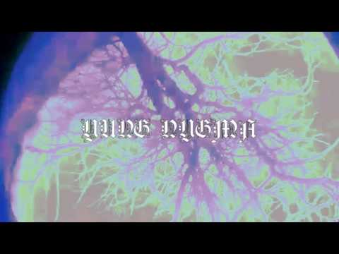 YungNygma - Impossible [Prod. Sudzy] (Official Video)