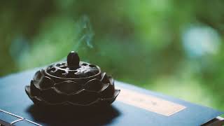 [轉播] 六上 兄弟 3:2 富邦 江坤宇