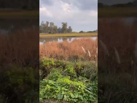 Las Vegas, Canelones