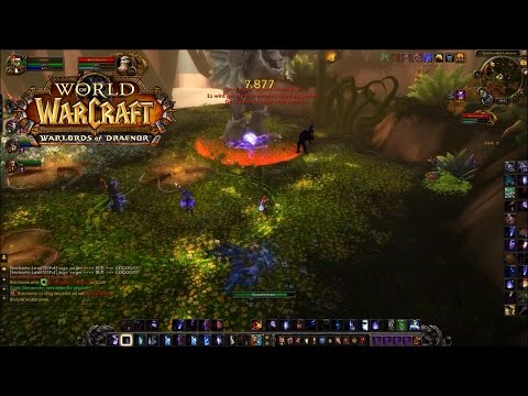 Bleichborke - Guide - Normal ★  (Immergrüner Flor)