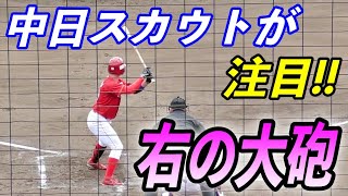 動画を再生