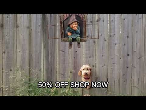 Funny Garden Gnomes | Cute Giggling Gnome