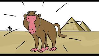 Lab Monkeys vs Humans What's the REAL Difference