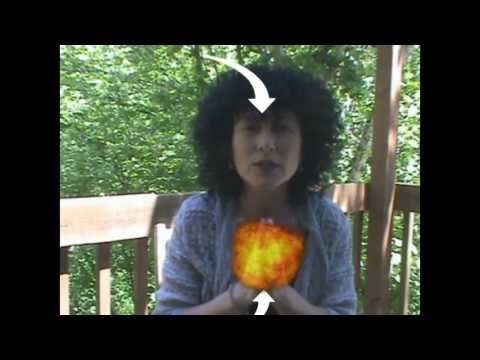 Earth Ways with Sonja Grace: Conduits