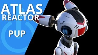 Atlas Reactor Pup