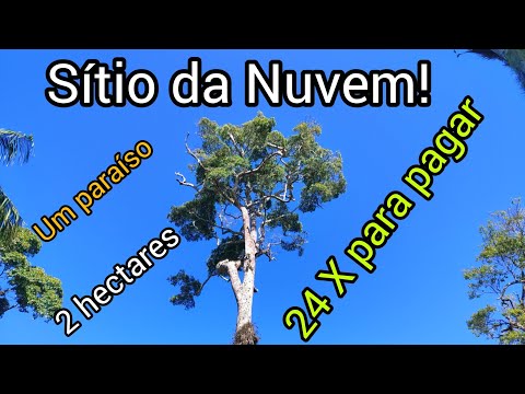 Sitio em  São Pedro de Alcântara / Santo Amaro - SC  Pagamento parcelado, 2 hectares....