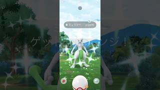 【Pokémon GO】 Shiny Mewtwo GET✨