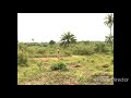 Royal Dragon Song By Yul Edochie Nigeria Nollywood Movies
