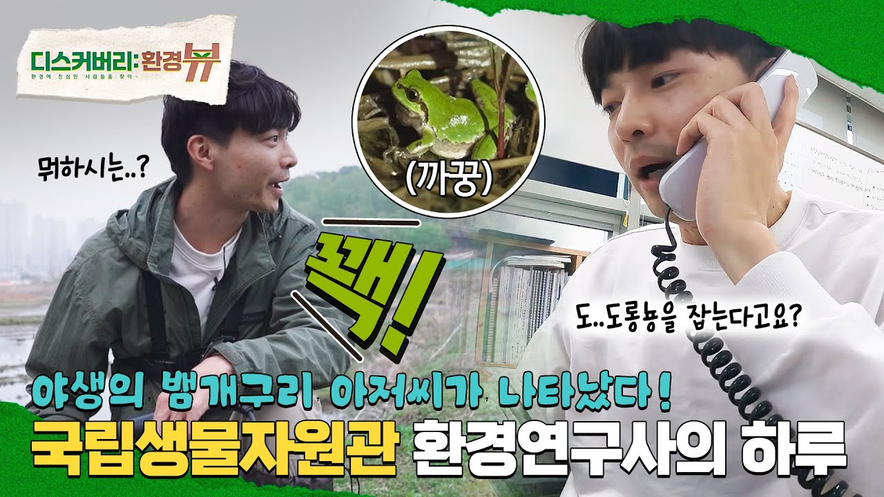 뱀, 개구리는 [사랑] 입니다ㅣ디스커버리:환경뷰