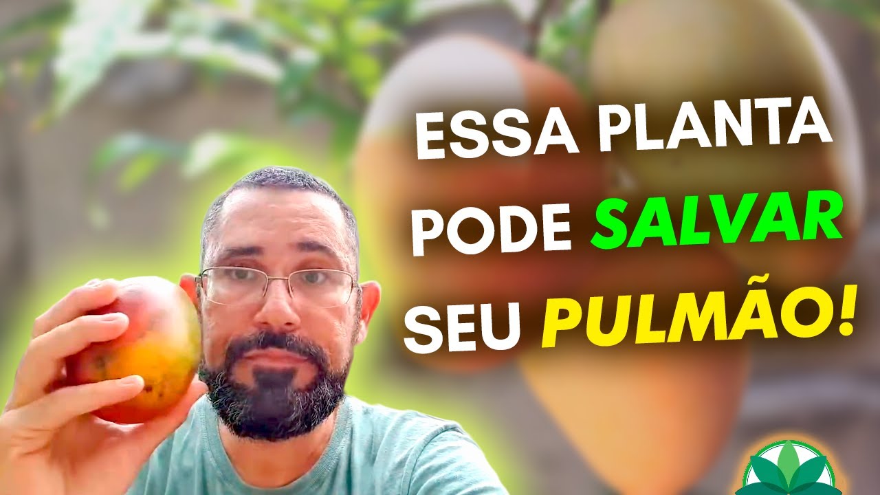 Essa planta pode SALVAR seu PULMÃO!