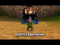 Donkey Kong 64 Playing As Krusha In Adventure Mode Glitch Explanation