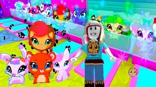 Royale High School First Day Of Class New Student Cookie Swirl C Roblox Video