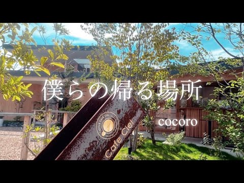 【リリックムービー】 僕らの帰る場所 / cocoro