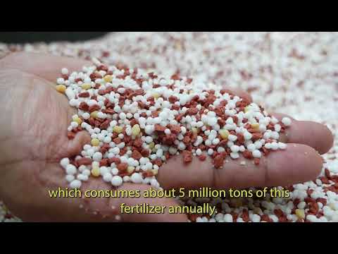 Play Video Youtube Video